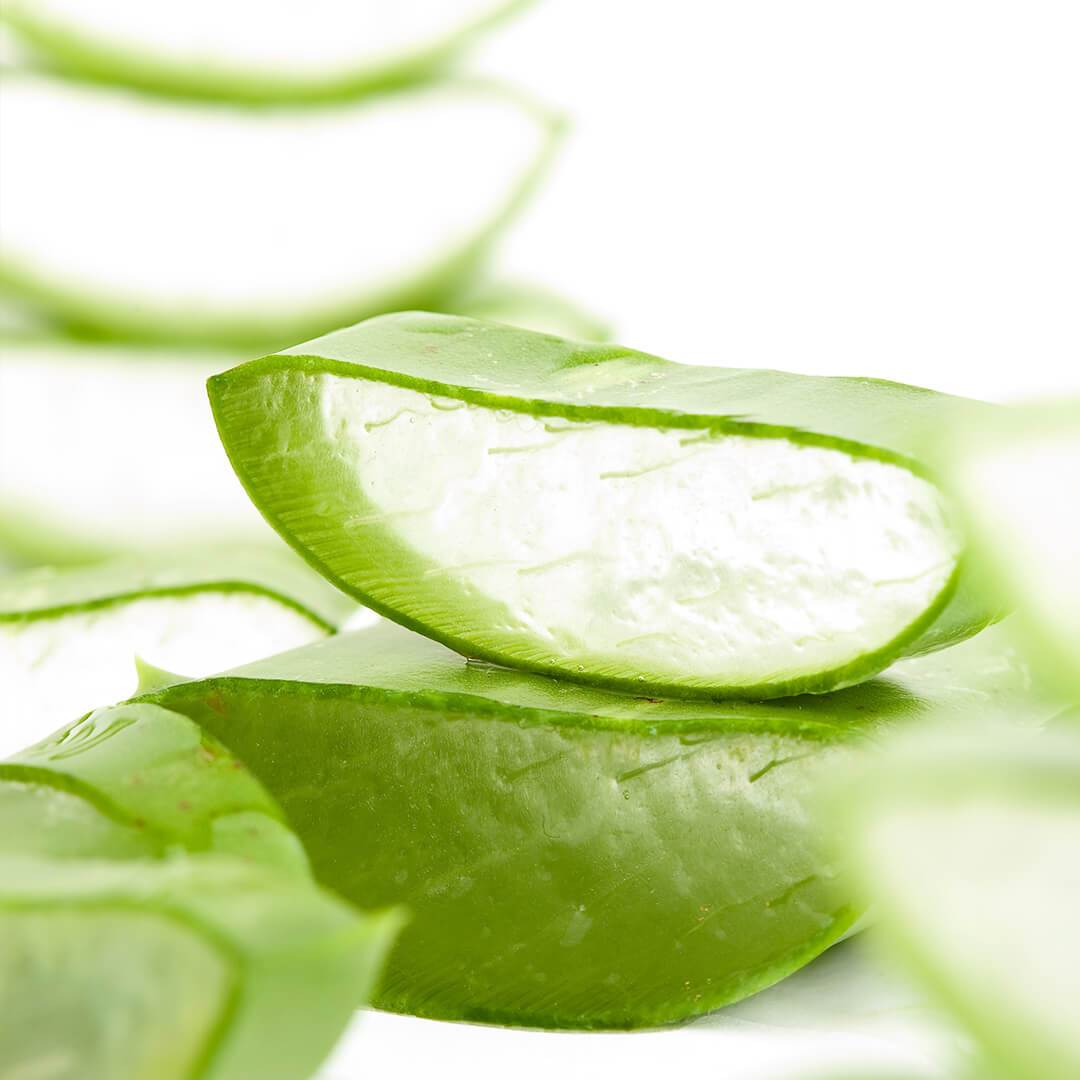bamboo-blur-tinted-moisturizer-aloe-vera-1