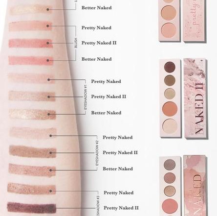 Naked Palette Family