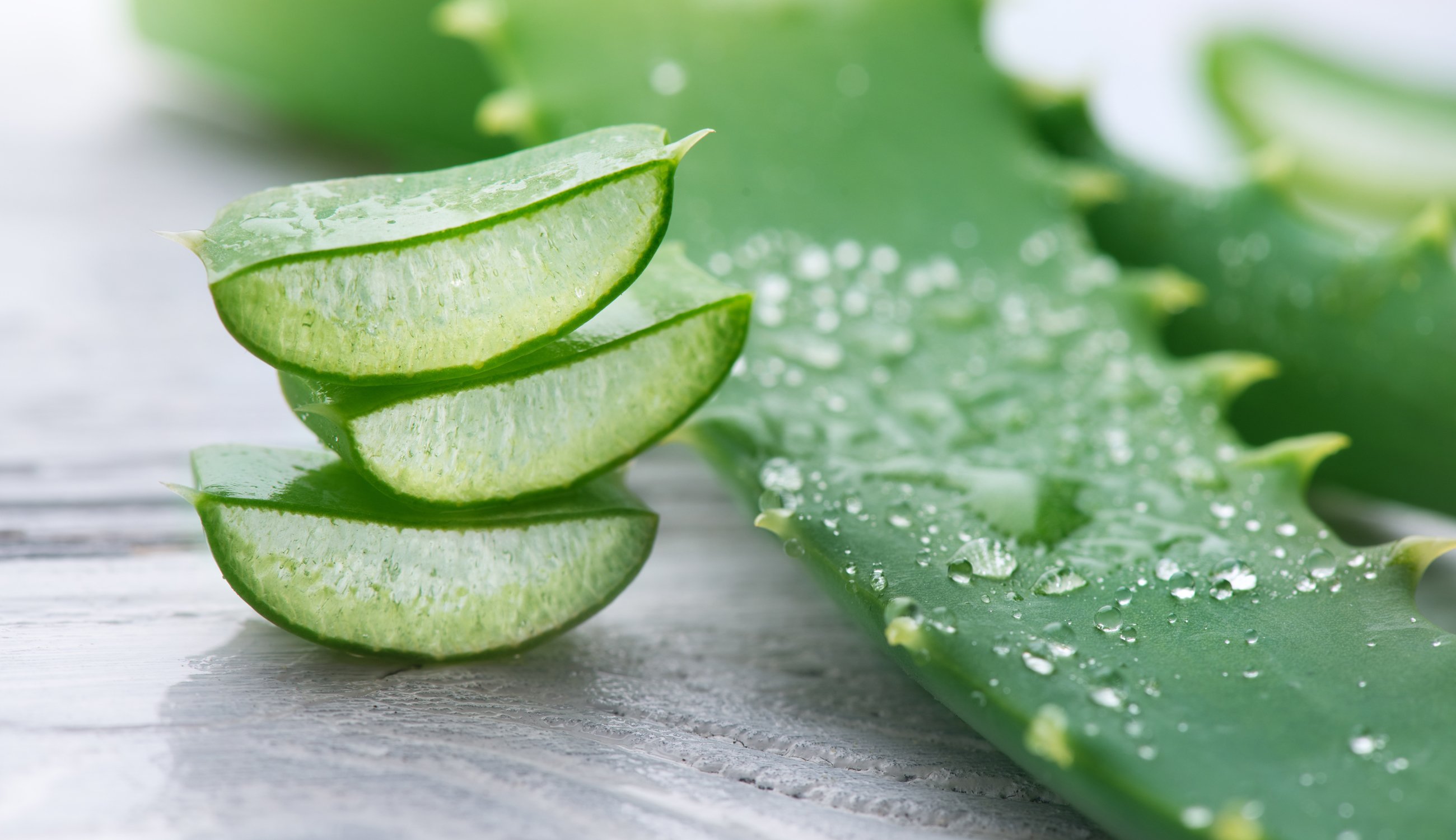 Aloe-Gel