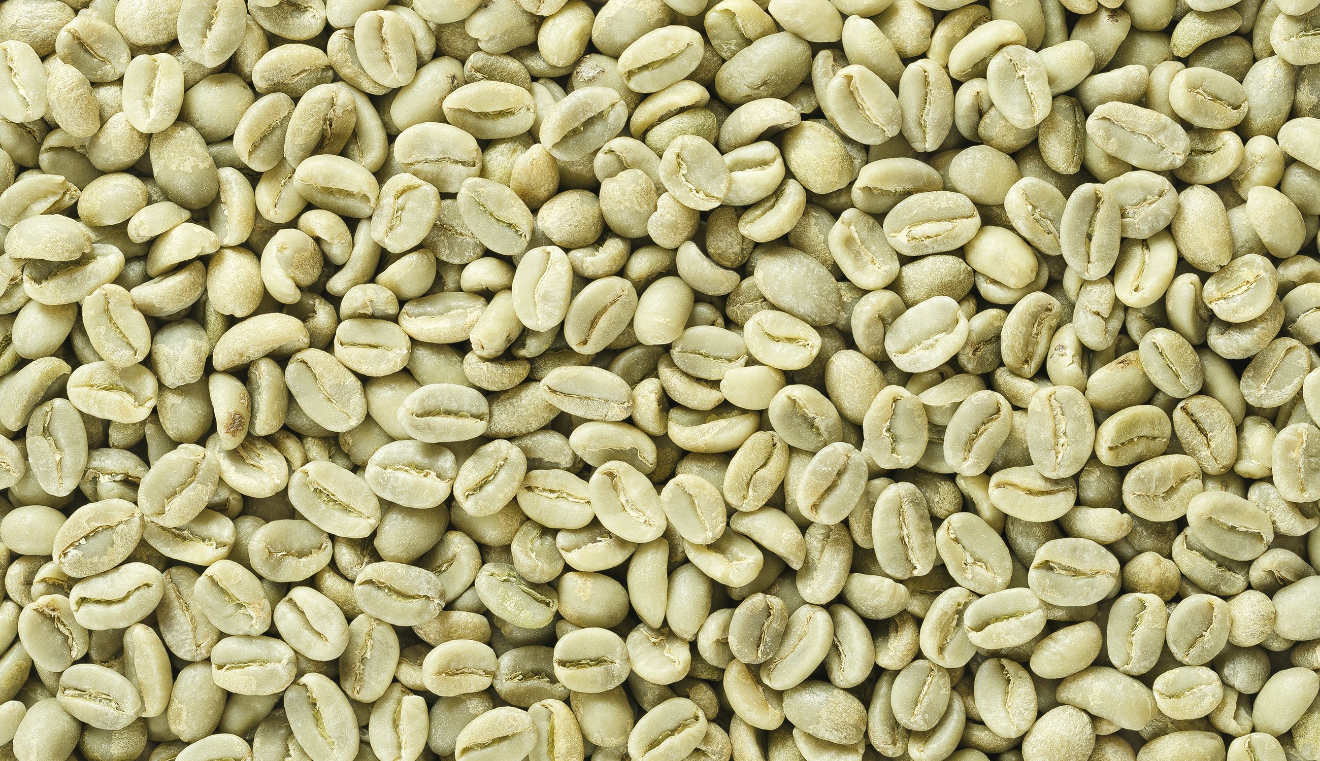 Caffeine-Get-To-Know-SPF-Ingredients-Front