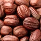 JOJOBA OIL