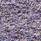 LAVENDER ESSENTIAL OIL